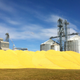 Image for article titled Will GMO Labeling Raise Food Prices?
